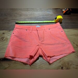 Carve Designs Oahu shorts size 14
